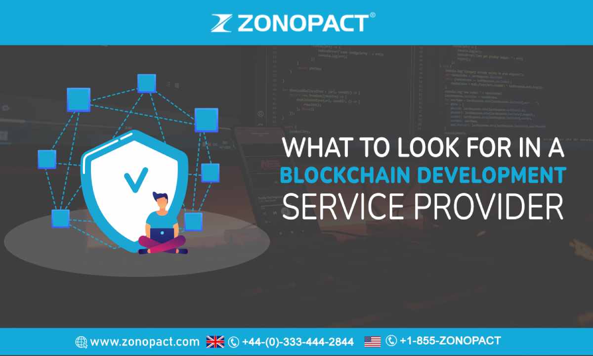 What To Look For In A Blockchain Development Service Provider